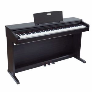 Pearl River V-05 Digital Piano - Black
